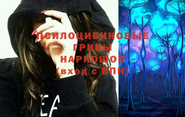 синтетический гашиш Алексин
