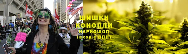 spice Арсеньев