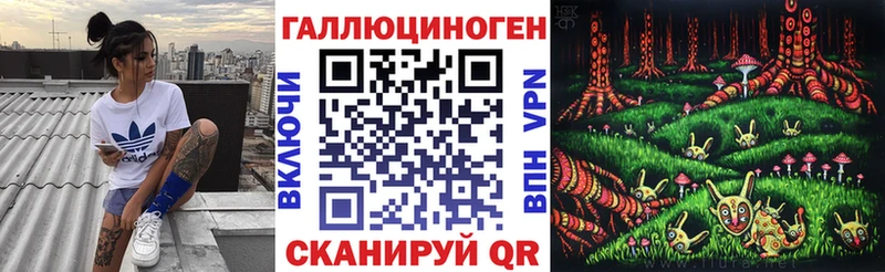 Галлюциногенные грибы Psilocybe Пошехонье